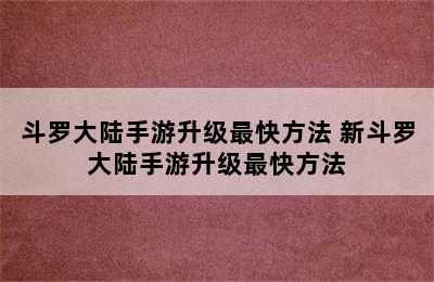 斗罗大陆手游升级最快方法 新斗罗大陆手游升级最快方法